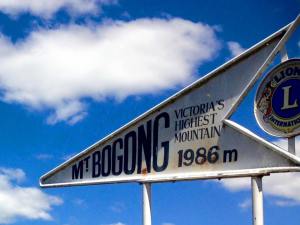 MtBogong